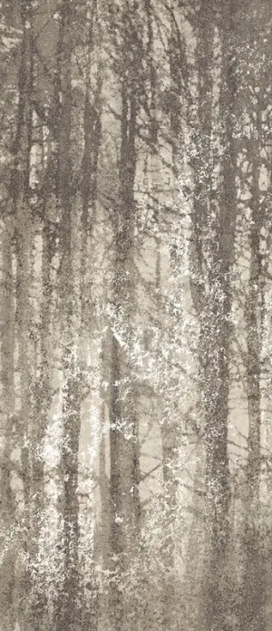 Veľkoformát Ylico Wood Fog 120x278 RT mat
