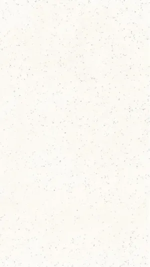 Deconcrete Micro White 120x278 RT matt